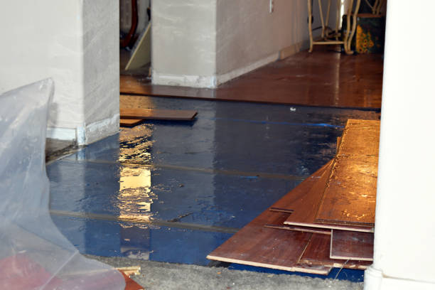 Professional Basement Flood Cleanup technician working in Blue Ball, PA